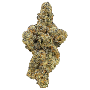 White Truffle