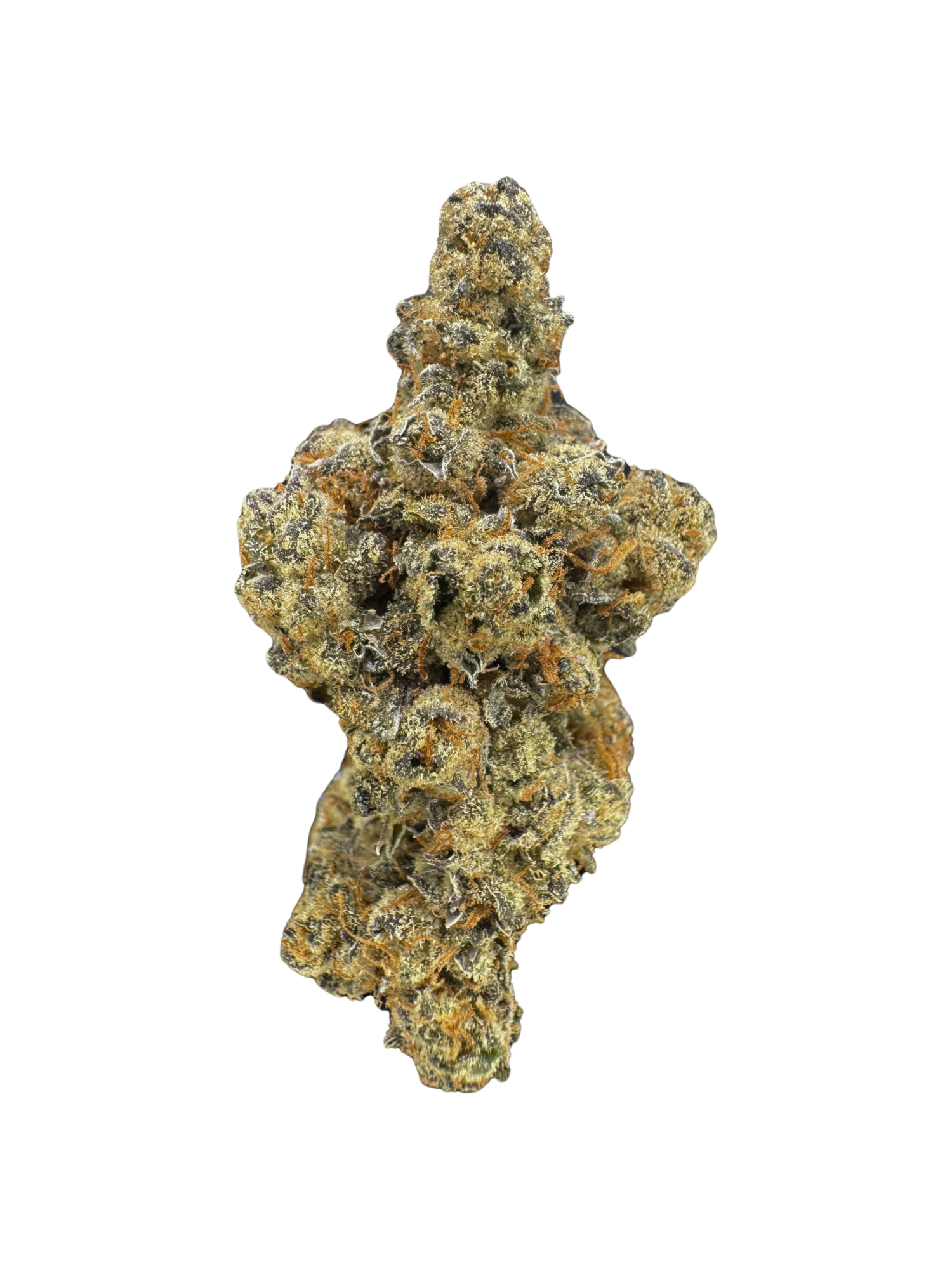 White Truffle